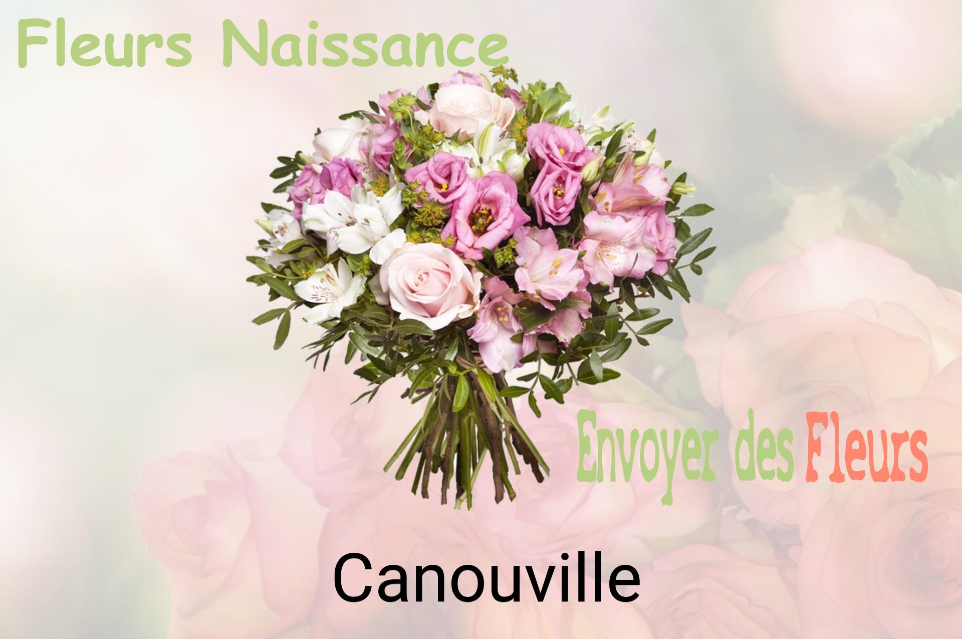 Bouquet de fleurs de naissance livré à Canouville
